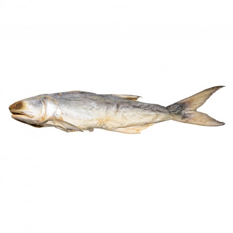 Chinese Salted Ma Yau Fish/LB