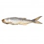 Chinese Salted Ma Yau Fish/LB
