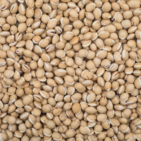Lentils
