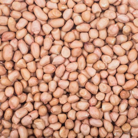 Peanut