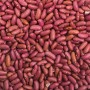 紅腰豆
