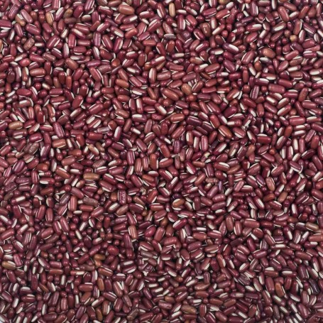 Small Red Bean