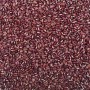 Small Red Bean