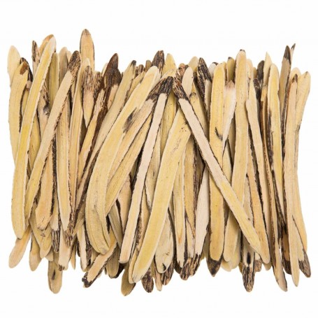 Chinese Astragalus Propinquus/LB