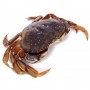 BC Crab(Double Claws)/Each