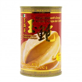 False Elephant's Snout - 2 Head