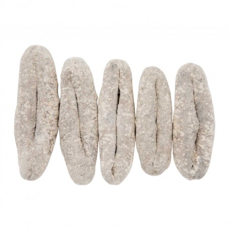 Australia Sea Cucumber(3-4 pcs)/LB