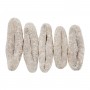 Australia Sea Cucumber(3-4 pcs)/LB