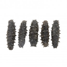 Japanese Sea Cucumber/LB
