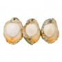 Australia Green Lip Abalone(2-3 Heads)/LB