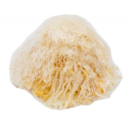 Frozen Shark Fins - Large/LB