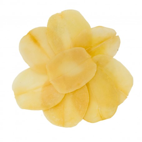 智利響螺干(原只)/磅