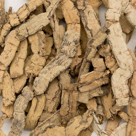 Morinda Officinalis How/LB