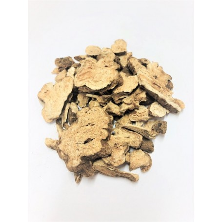 Atractylodes Macrocephala/LB