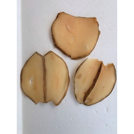 Chile Dried Conch Meat - Whole/LB