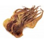Dried Octopus-Large/LB