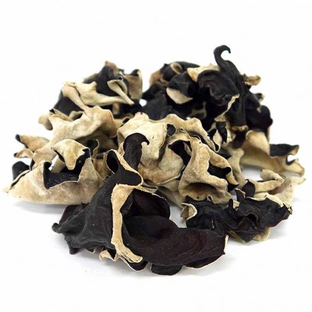 Black Fungus/LB
