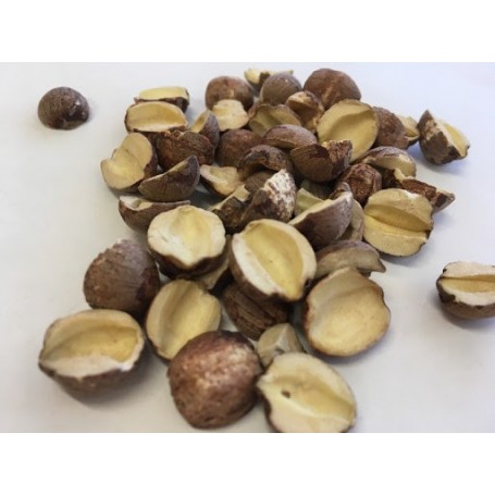 Broken Dried Lotus Seed/LB