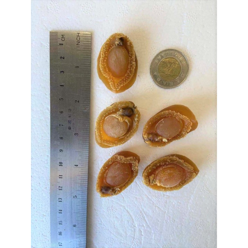 Dried Abalones (4550 Heads)/LB