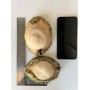 Australia Green Lip Abalone(1-2 Heads)/LB