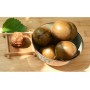 Monk Fruit(Medium)/pc