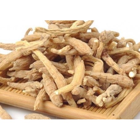 RADIX PSEUDOSTELLARIAE/LB