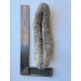 Australia Sea Cucumber(3-4 pcs)/LB
